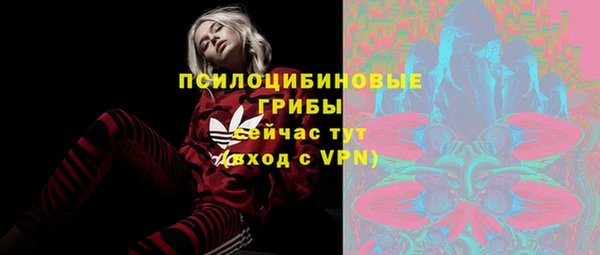 спайс Алексеевка
