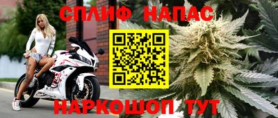 амф Малгобек