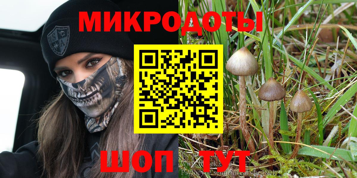 Псилоцибиновые грибы ЛСД Чернушка