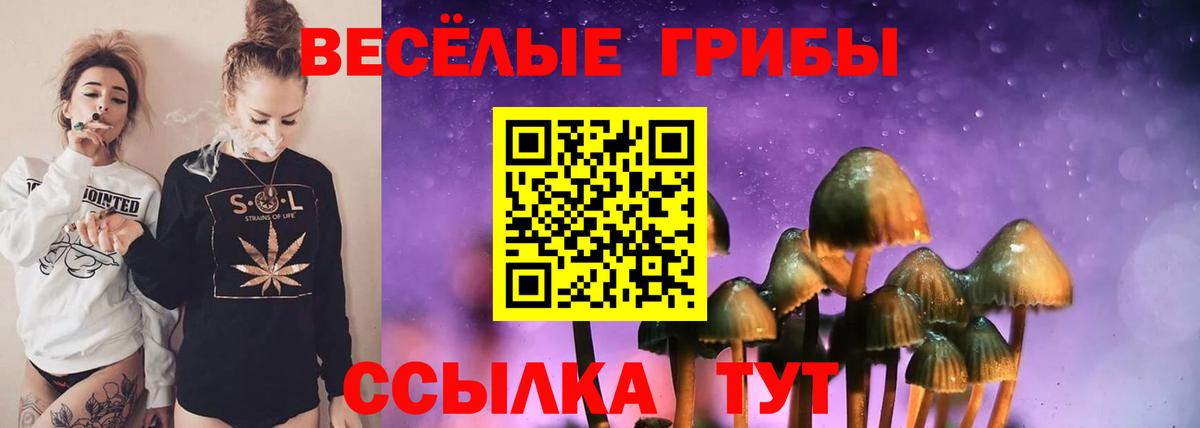 Чернушка  Псилоцибиновые грибы Magic Shrooms  Вход с VPN  Галлюциногенные грибы Psilocybine cubensis 