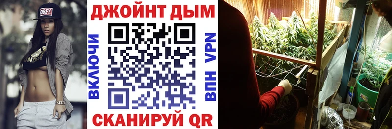 закладка Чернушка Шишки марихуана планчик